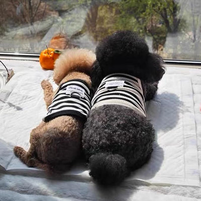 2 Pack Cotton Dog Clothes for Small Dog Girl Boy Striped Sleeveless Pet Tank Top Vest Breathable Puppy Shirt with Leash Ring Cute Cat Outfit for Tea Cup Poodle (Black Apricot, X-Small)