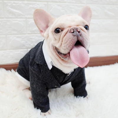Dog Clothes Pet Plaid Suit Dog Tuxedo Costumes, Formal Gentleman Apparel Vest, Wedding Party Birthday Wear French Bulldog Pug Teddy Terrier Pup(Black Coat, XL)