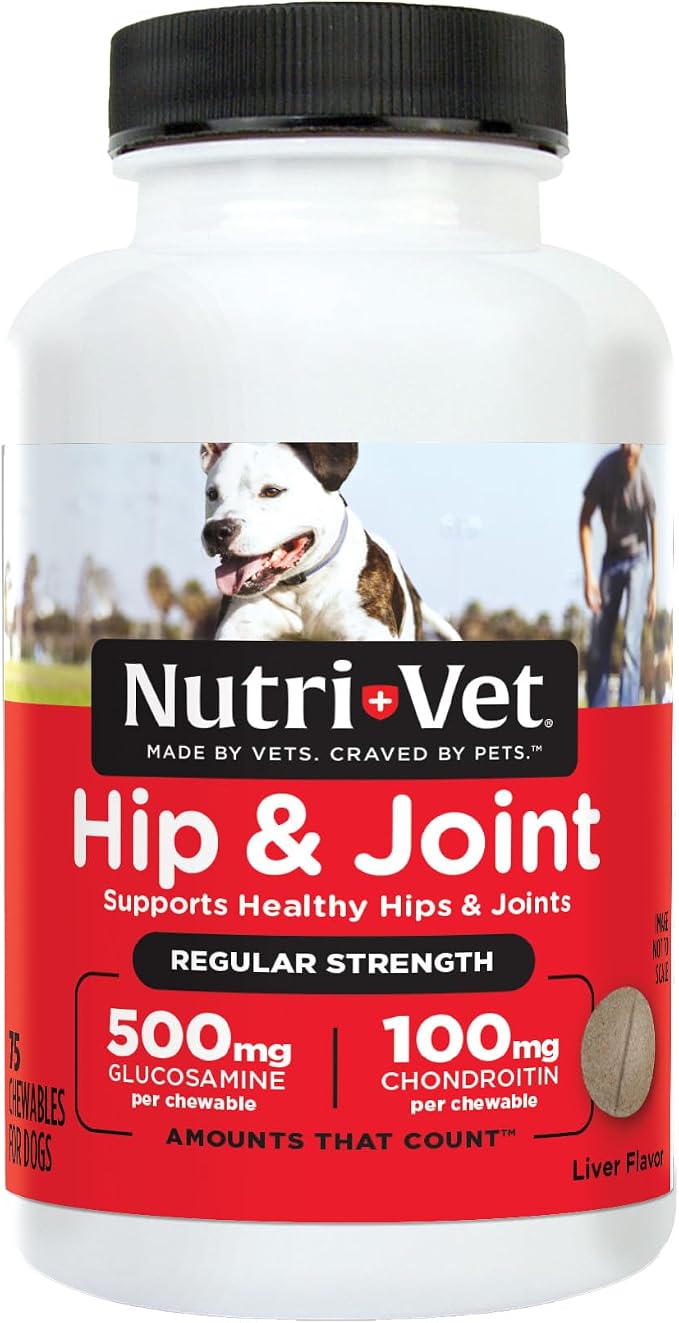 Hip & Joint Regular Strength Joint Dog Supplements, Formulated with Glucosamine Chondroitin, Pet Supplies, Hip Supplement for Dogs, Glucosamine Chews, Puppy Essentials, 75 Count Chewables
