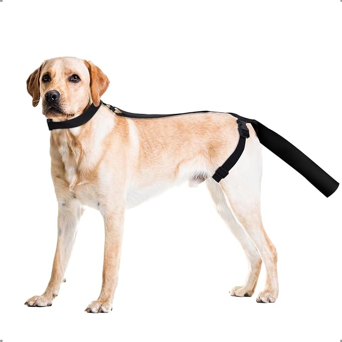 Dog Tail Protector, Dog Harness with Tail Guard Ends Protector Sleeve, Dog Tail Bandage Cover for Comfortable Wound Injury Recovery,M