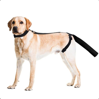 Ohcozzy Dog Tail Protector, Dog Harness with Tail Guard Ends Protector Sleeve, Dog Tail Bandage Cover for Comfortable Wound Injury Recovery,L