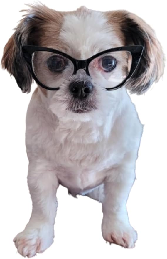 G002 Dog Pet Clear Lens Costume Glasses Small to Medium Breeds 12LBS~30LBS Prop Photoshoot Sunglasses (Cateye Black-Clear)