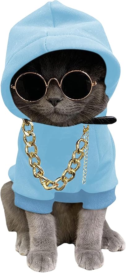 3Pcs Dog Hoodie Cat Apparel Dog Custume Set with Necklace and Sunglasses Pet Clothes for Puppy Small Medium Dogs Cats Light Blue XX-Small