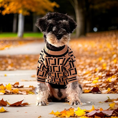 Everything Chic Luxury Dog Sweater – Soft Knit Designer Pet Outfit for Small Dogs & Puppies, XS–L, Stylish Warm Clothing for Yorkies, Chihuahuas, Dachshunds, Maltese, French Bulldog