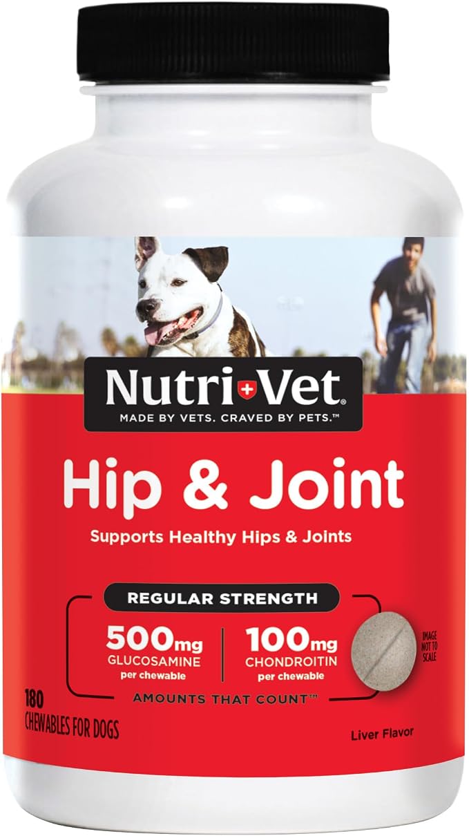 Hip & Joint Regular Strength Chewable Dog Supplements, Joint Supplement for Dogs, Chewable Supplement, Formulated with Glucosamine Chondroitin, Pet Supplies, Puppy Essentials, 180 Count