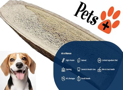Pets Plus Natural Antler Dog Chews 2-Pack – Long Lasting Split Antlers for Aggressive Chewers, Durable Dog Bones, Odor Free, Grain Free, Supports Dental Health