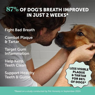 Dog Breath Freshener Dental Powder - Teeth Cleaning Plaque Off + Tartar Remover for Dogs - Care Supplement Food Topper with Kelp, HMP + Postbiotics for Healthy Gums - Mint Flavor (60 Servings)