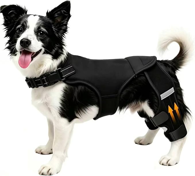 Dog Knee Braces for Torn ACL Hind Leg, Adjustable Dog Leg Braces for Back Leg with 4 Stabilizers for Luxating Patella Relieves Ligament Injury and Joint Pains