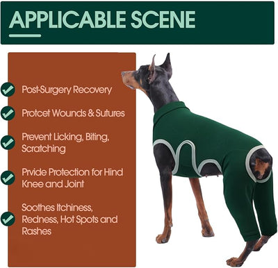 Kuoser Dog Surgery Recovery Suit, Professional Dog Surgical Suit for Back Legs, Soft Dogs Recovery Sleeve to Prevent Licking Biting Wounds, Dogs Onesie After Surgery Elbow Protector, Green L