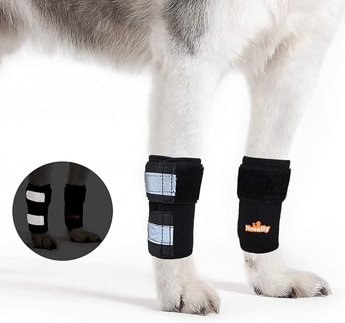 NeoAlly - Front Leg Brace for Dogs and Cats, Dog Leg Brace for Improved Pet Mobility, Dog Leg Sleeve for Carpal Support, Dog Leg Sleeve with Reflective Straps, XXS to XS, Black, 1 Pair