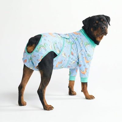 Spark Paws Dog Surgery Recovery Suit – Dog Recovery Suit After Surgery, Anti-Lick Dog Onesie, Abdominal Wound Protector, Soft Cone Alternative for Spay Neuter Male Female Pet Recovery - Dragons - 4XL