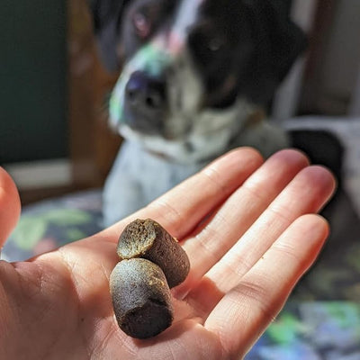 Hemp Well Relief Dog Soft Chews, Organic Hemp, Aches & Discomfort Support