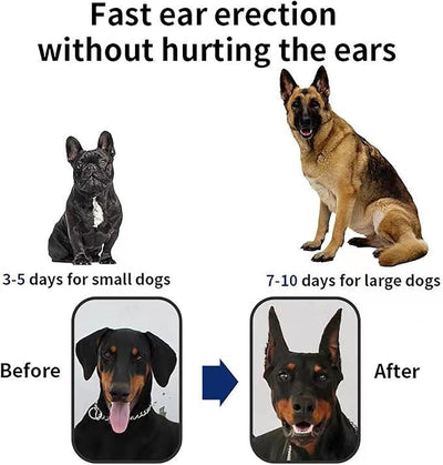 Dog Ear Stand Sticker Up Support Tool, Dog Ear Fixed Correction Vertical Holder for Doberman,new. (1.97 * 3.94)