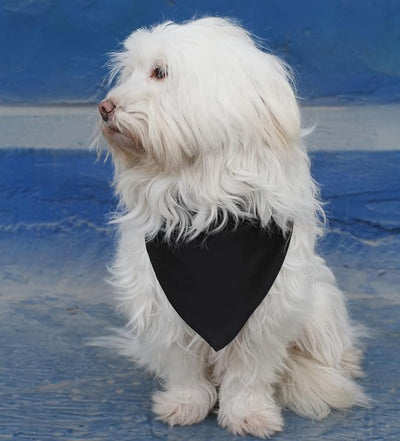 Polyester Dog Bandana Black Dog Scarf for Small Medium Large Pets