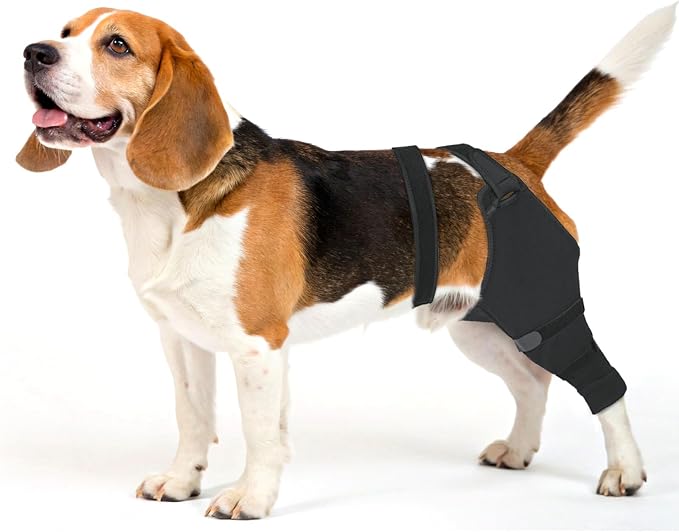 Dog Rear Leg Sleeve to Stop Licking, Hind Leg Protector for TPLO Recovery, ACL Surgery, Wounds or Skin Issues, Soft Breathable Cover for Large Medium Small Dogs