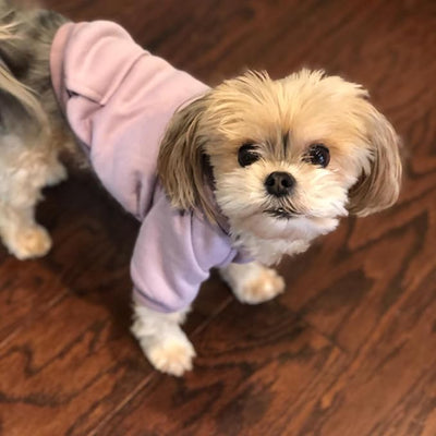 Jecikelon Soft Dog Hoodies for Small Dogs, Fleece Puppy Sweatshirt with Pockets, Warm Winter Cold Weather Coats for Pet Cat, Cute Clothes Puppy Costume (Purple, X-Small)