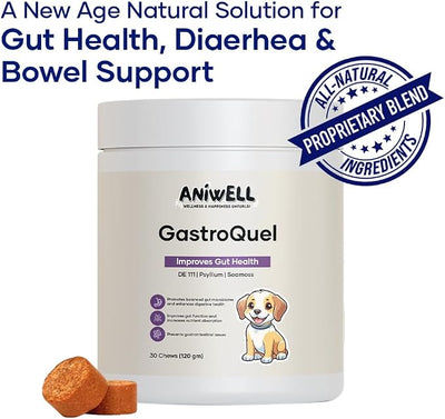 GastroQuel Dog Probiotic Chews – Gut Health, Occasional Diarrhea & Digestive Support | Probiotics for Dogs, Kaolin & Pectin | Yeast Infection Support & Anti Diarrhea for Dogs