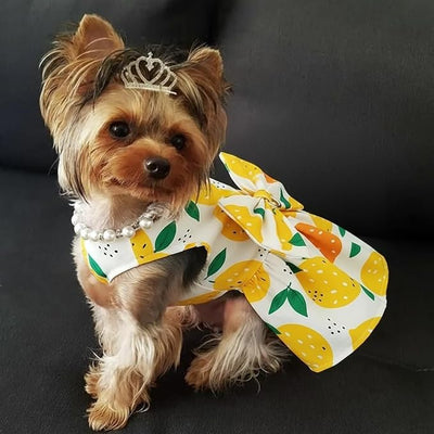 Dog Dress Bowknot Harness Leash Set for Small Dogs Yellow Lemon Dog Cat Clothes Cute Puppy Outfits Pet Clothes Spring Summer Breathable Dresses(X-Samll)