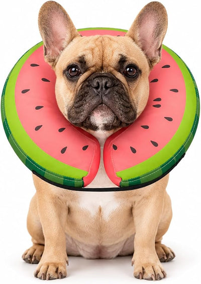 MIDOG Soft Inflatable Dog Cone, Donut E-Collar Alternative for After Surgery, Prevents Licking, Allowing Normal Eating & Vision, Comfortable Recovery Collar for Small Medium Large Dogs & Cats, Red-M