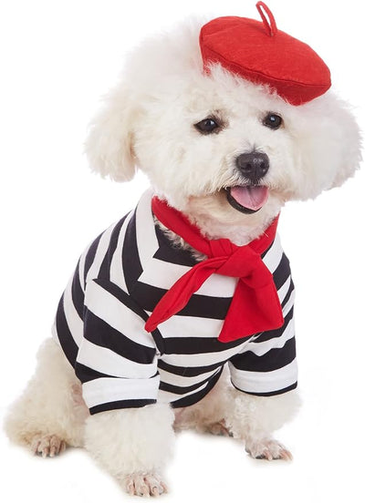 Artist Dog Costume with Funny Hat Painter Pet Clothes for Small Dog Shirts Puppy Summer T-Shirt (2XL) Black