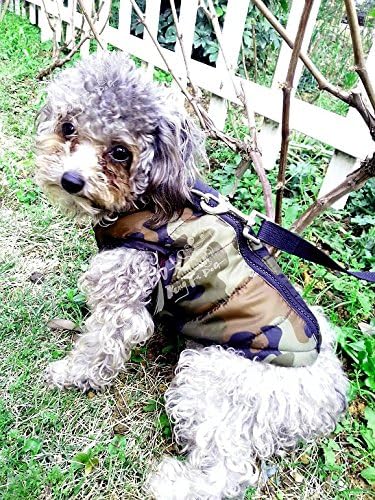 Winter Waterproof Windproof Dog Vest - Warm Dog Jacket for Cold Weather - Camouflage, Small (Teddy, Chihuahua, Yorkshire) Only