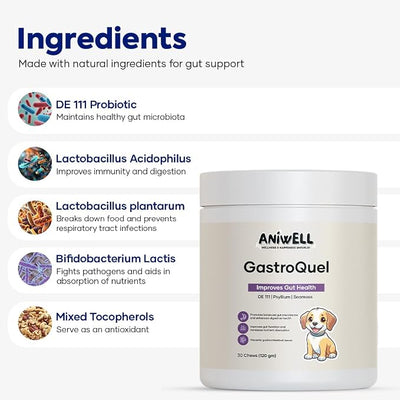 GastroQuel Dog Probiotic Chews – Gut Health, Occasional Diarrhea & Digestive Support | Probiotics for Dogs, Kaolin & Pectin | Yeast Infection Support & Anti Diarrhea for Dogs