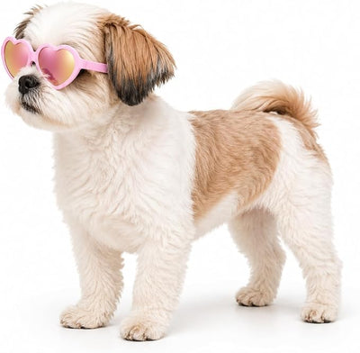 G016-1 Dog Pet Heart Costume Sunglasses for Small to Medium Breed (Up to 15 lbs, 2-pk Heart Red+Heart Pink-p mr)