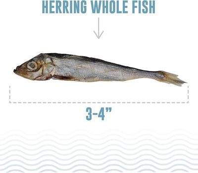 Icelandic+ Whole Fish Herring - 3oz Bag - Dog Treats, Pure Wild-Caught Air-Dried Fish, Single Ingredient Snack, Pet Chew, Just The Fish Nothing Else