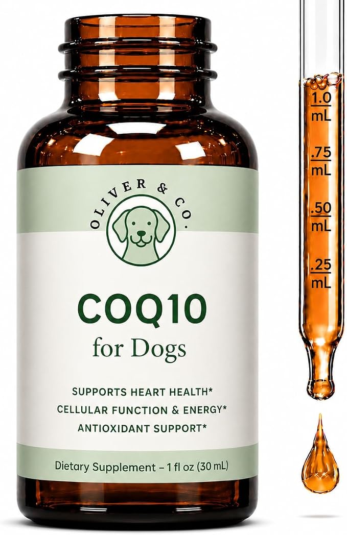 CoQ10 for Dogs - Coenzyme Q10 for Dogs - Heart, Joint & Cardiovascular Support - Dog Heart Supplements - Dog Hip & Joint Care - 1 fl oz