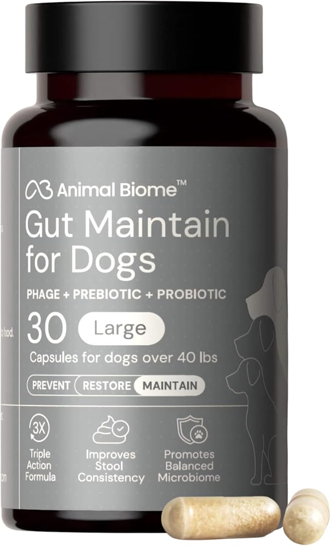 Probiotics for Dogs with S Boulardii, Gut Maintain (30 Capsules) – Triple-Action Large Dog Probiotics, Prebiotics & Phage Supplements for Gut Health, Firmer Stool & Diarrhea Support