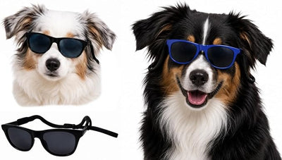G006 Dog Pet Retro 80s Costume Sunglasses for Small Breed (2-Pack Black+Navy Blue)