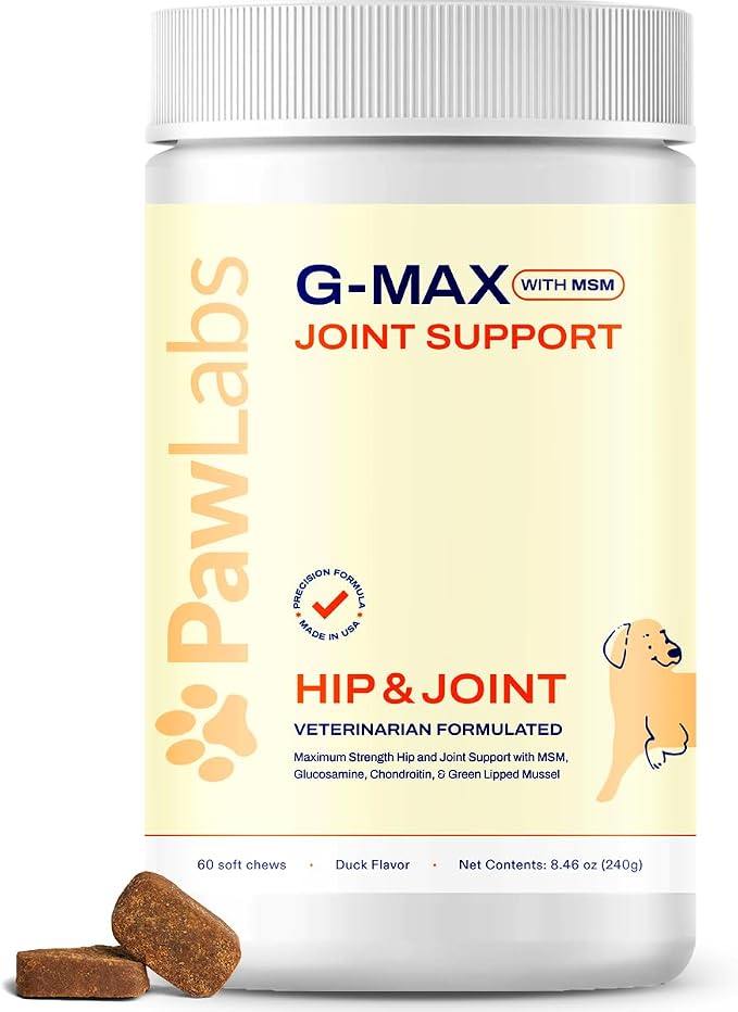 G-Max Joint Support for Dogs - Maximum Strength Hip & Joint Supplement with Glucosamine, Chondroitin, MSM, Green-Lipped Mussel - Relieves Arthritis Pain & Hip Dysplasia - Duck Flavor, 60 Chews