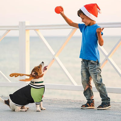 Cute Dog Sweater - Stretchy Dog Pullover Sweatshirt,Soft and Warm Winter Clothes for Boy & Girl Dogs,Suitable for Puppies & Adult Dogs (Black+Red+Green, Large)