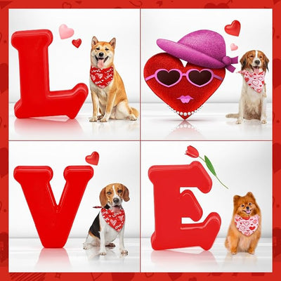 Vivifying Valentine's Day Dog Bandanas - 2 Pack Romantic Pet Accessories with Love Hearts, Dog Scarf for Spoiling Your Pooch on February 14th (Large, Red & Pink)