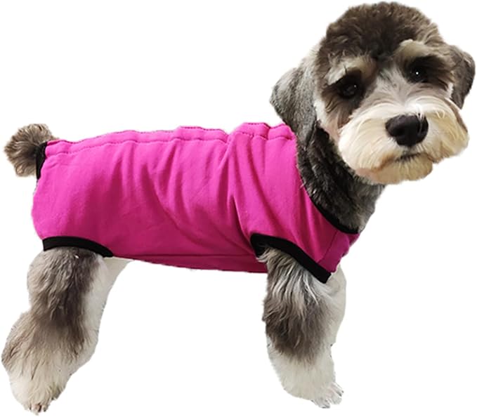 Dog's Recovery Suit Post Surgery Shirt for Puppy, Small Dog Surgical Recovery Suit for Female Male Dogs, Dog Onesie Protect Surgical Wound(Rose red-m)