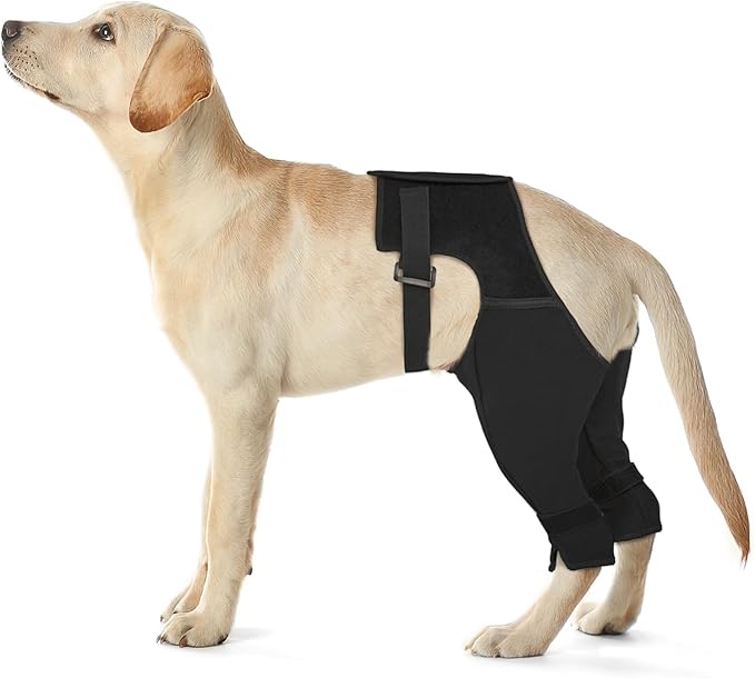 Dog Rear Leg Sleeve to Stop Licking, Breathable Anti-Slip Recovery Sleeve Pants for Wound Protection After ACL/TPLO Surgery, Hot Spots, Lick Granulomas–Cone Alternative for Leg Healing,L