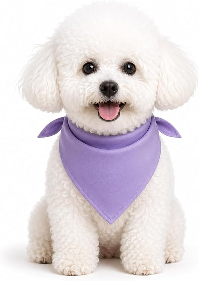 Petitebella Single Color Pet Bandana (Lavender, Small)