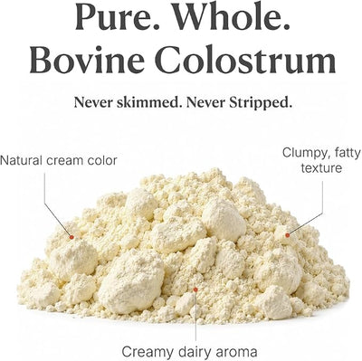 Colostrum for Dogs - 25% IgG Whole Bovine Colostrum Powder Supports Immune & Gut - Digestive Health, Allergy, Skin & Itch Relief - No Fillers, Grass-Fed USA Sourced – 60g (~120 Scoops)