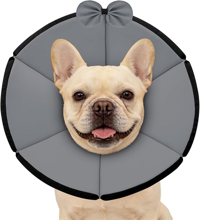 MAXFUT Soft Dog Cone Collar,Foam Cone for Dogs to Stop Licking After Surgery,Non Inflatable Dog Donut Cone (Grey, M)