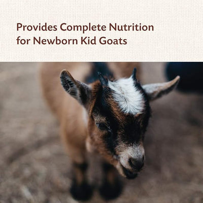 Manna Pro Colostrum Supplement for Newborn Goat Kids | Fortified with Vitamins and Minerals | Helps Promote Healthy Development | 8oz (Pack of 4)