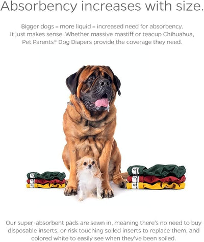 Pet Parents® Washable Dog Diapers (3pack) + Extendrs® of Durable Doggie Diapers, Premium Dog Diapers Female (X-Large, Samba)