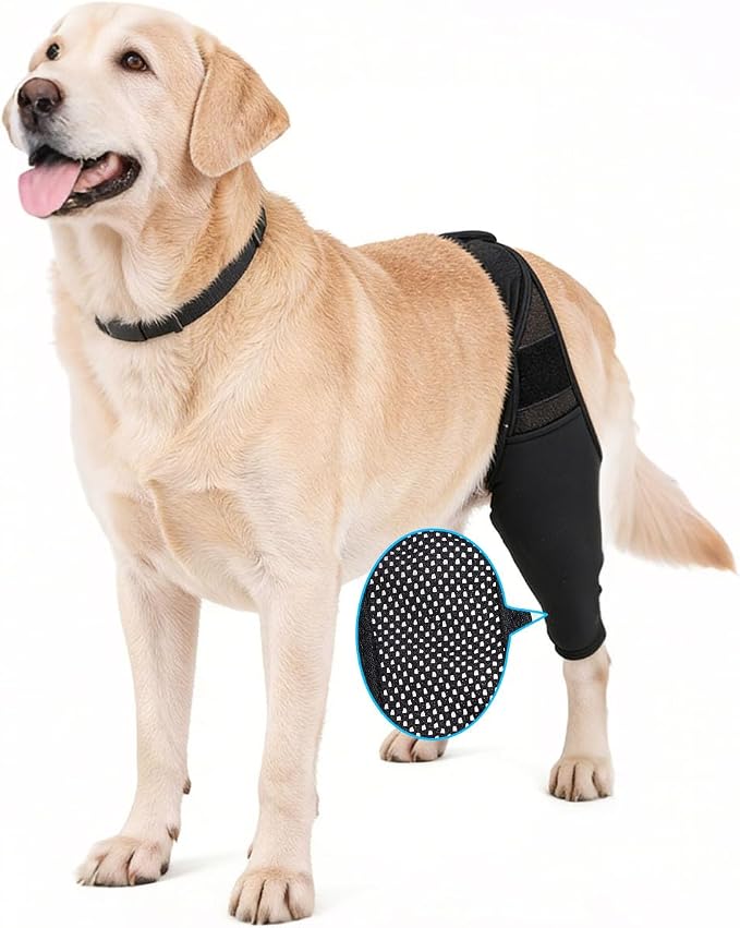 Dog Rear Leg Sleeve to Prevent Licking - Reusable Dog Surgery Recovery Suit with Adjustable Velcro, Breathable Comfortable Recovery Sleeve for Hot Spots & Wounds, Cone Alternative (M Size)