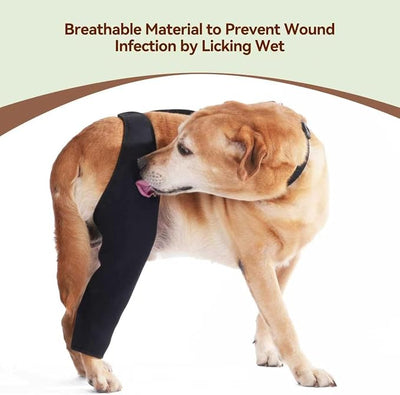 Dog Recovery Sleeve Back Leg Breathable Material, Dog Leg Sleeve to Stop Licking and Biting Firm and Secure, Adjustable Size, Comfortable Alternative to Cone Collars (2XLarge, Single Leg)
