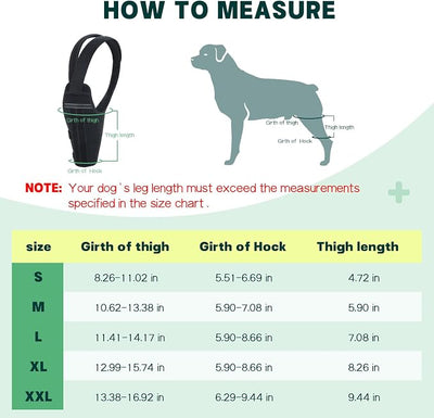Dog Knee Brace for Torn ACL Hind Leg – Support Dog Leg Brace for Back Leg with 2 Stabilizers, Adjustable Hip Support to Reduces Pain Luxating Patella, Ligament Injuries, CCL (Left Leg, 2XL)