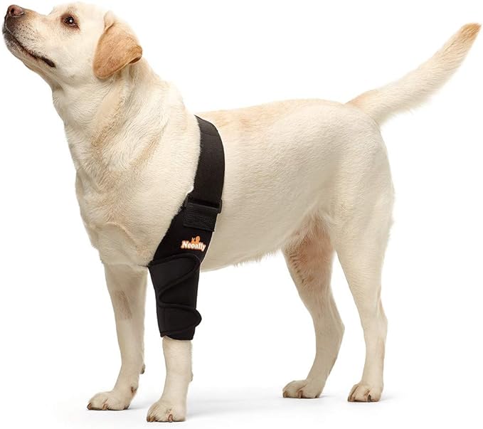 Dog Elbow Brace Protector Pads for Canine Elbow and Shoulder Support Elbow Hygroma, Dysplasia, Osteoarthritis, Elbow Calluses, Pressure Sores and Shoulder Dislocation (Left Leg, Small)