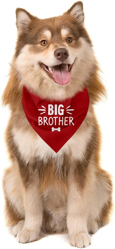 Big Brother Dog Bandana, Red Wine Pet Dog Scarf Accessories, Pregnancy Announcement Big Brother Baby Reveal, Pet Dogs Triangle Scarf, Dogs Bandana for Small Medium