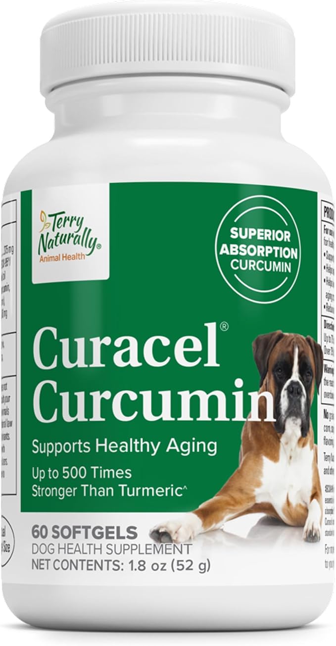 Curacel Curcumin - Health Supplement for Dogs - Pet Curcumin Dog Supplies - Cellular Health Supplement with Antioxidants - 60 Softgels