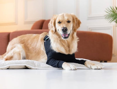 Suitical Recovery Sleeve for Dogs | Front Leg Protection After Surgery | Dog Leg Sleeve to Stop Licking | Machine Washable | Chest Circumference 15.7”- 20.5” | Sleeve Length 6.7” | XS | Single Sleeve