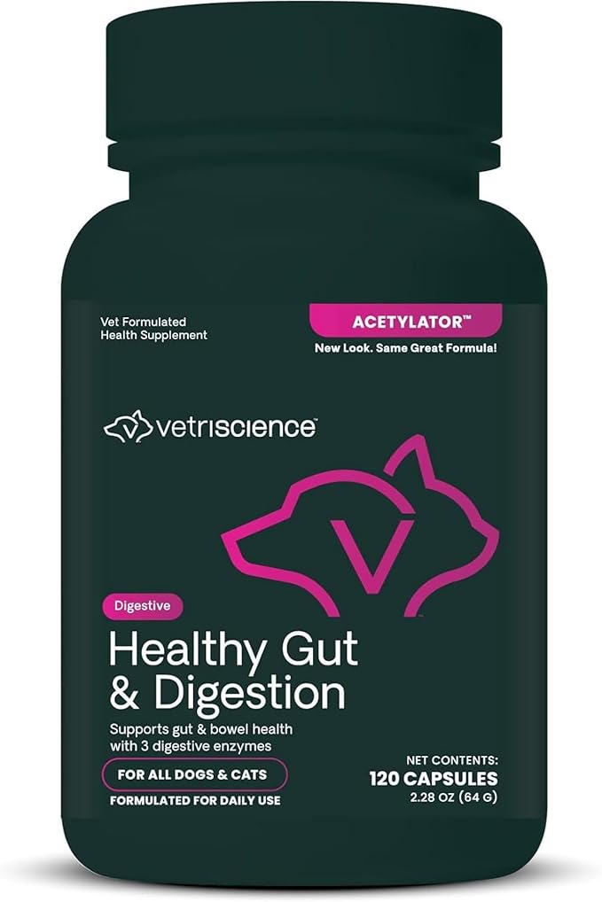 VetriScience Healthy Gut & Digestion Easy-Open Capsules, Acetylator Digestive Enzyme Supplement for Dogs and Cats, Soothe Gut and Bowel Discomfort, 120 Count