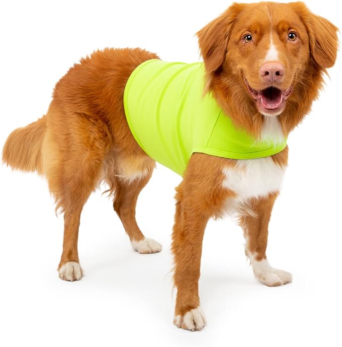 Dog Anxiety Calming Wrap, Medium, Lime